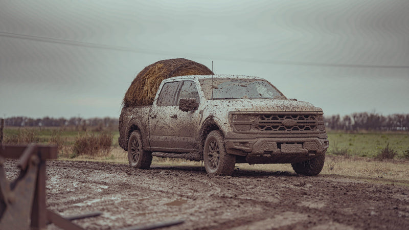 Ford F-150 Tremor en la cuenca lechera: barro, vacas y rollos - collino